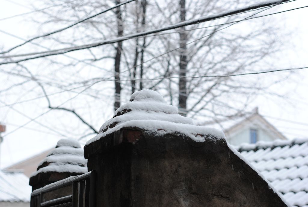 飘雪 摄影 不要出名