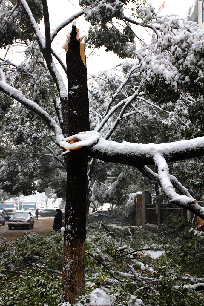 大雪 摄影 纤云磨墨