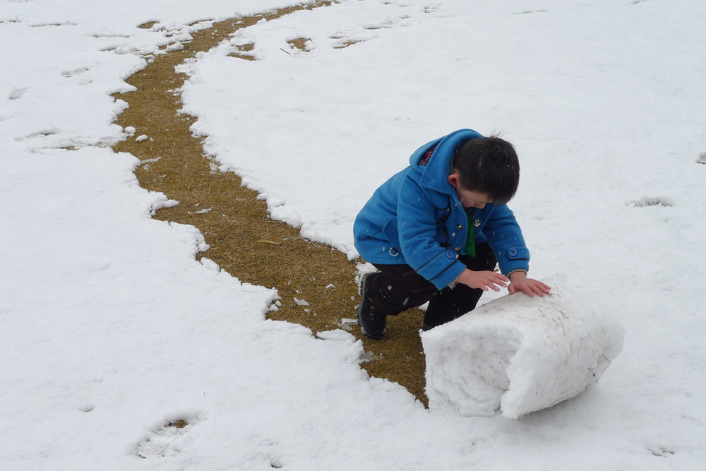 滚雪球 摄影 太白遗风