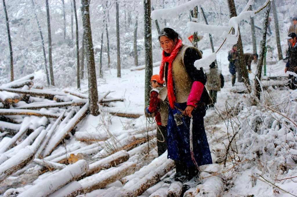 雪染的风采之四 摄影 关河纤夫