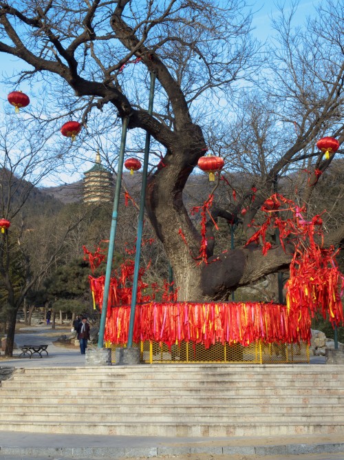 神圣 摄影 自然而然2010