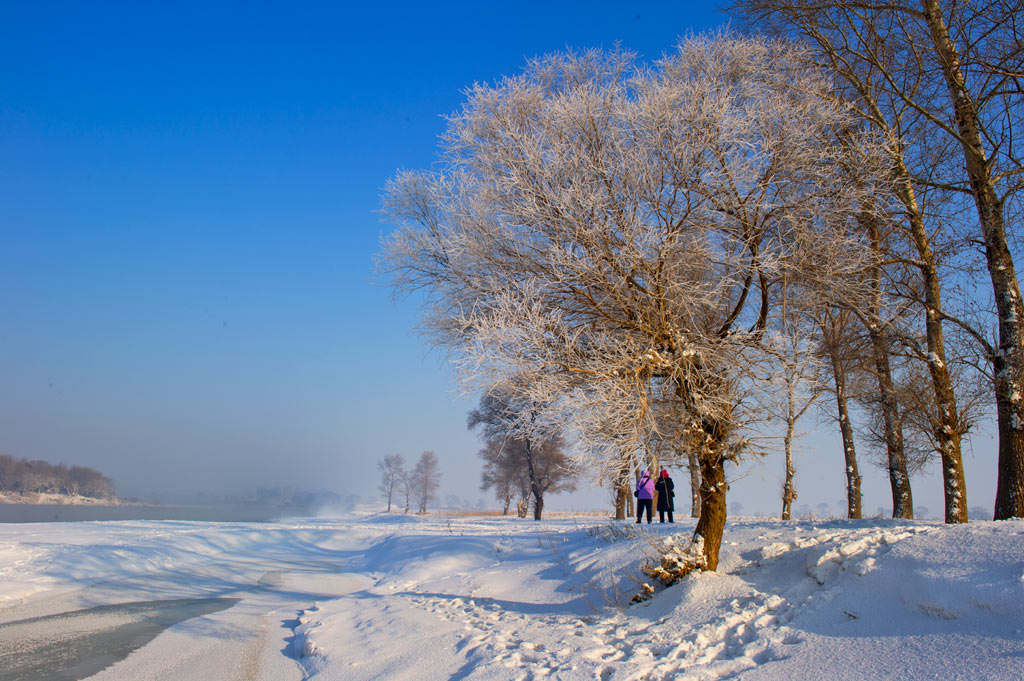 《 雪中行 》 摄影 影影其