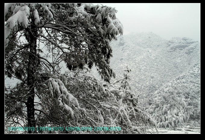 雪之道 摄影 壶溪吕岩