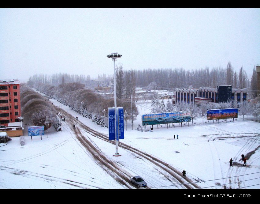 雪晴 摄影 shanfenghao