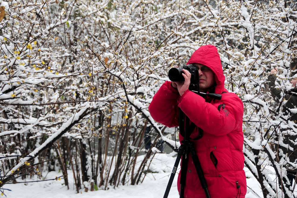 踏雪寻梅 摄影 虎眉