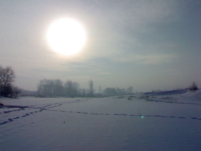 东北三九天的雪景 摄影 赵子文