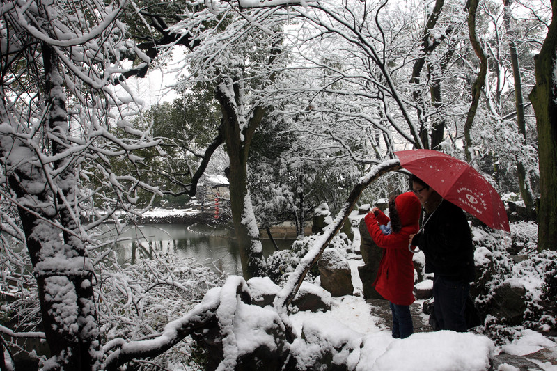 赏雪 摄影 红黄幻觉