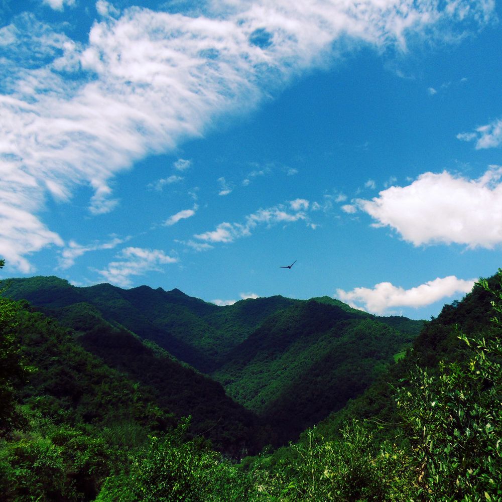 山和天 摄影 mx飞毛腿