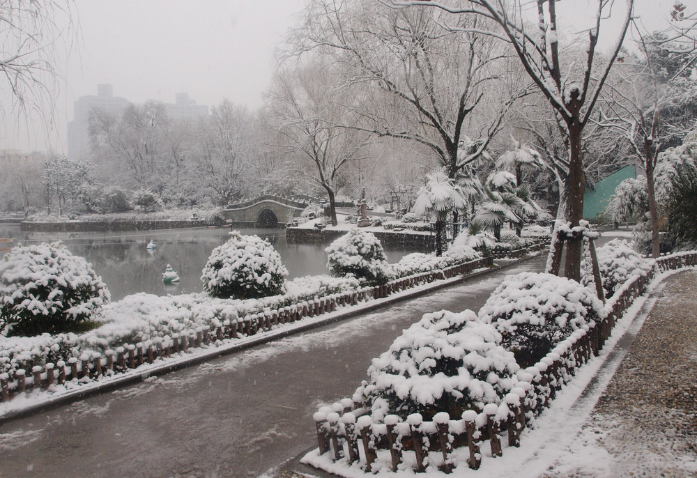 雪中景 摄影 qsqygy