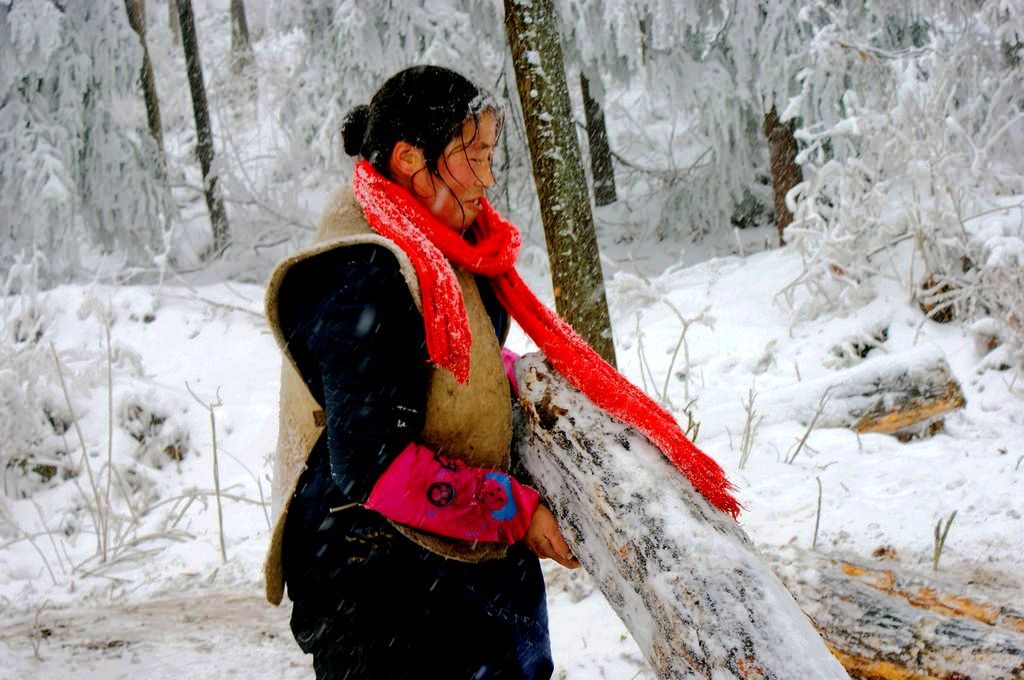 雪染的风采之五 摄影 关河纤夫