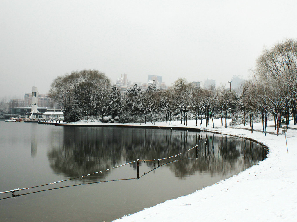 雪-2-2 摄影 小鸡小鸭