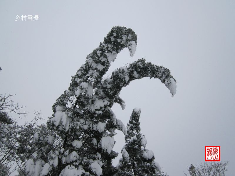 乡村雪景2 摄影 梅山龙