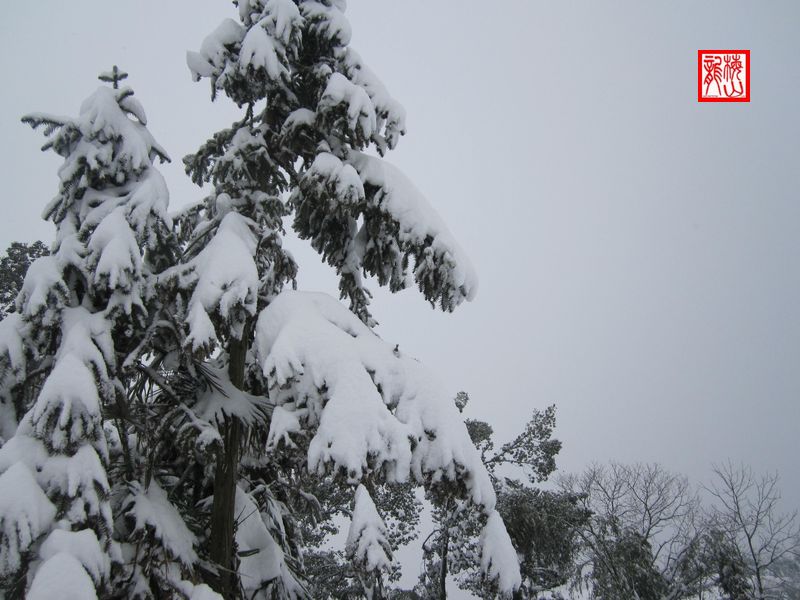 乡村雪景3 摄影 梅山龙