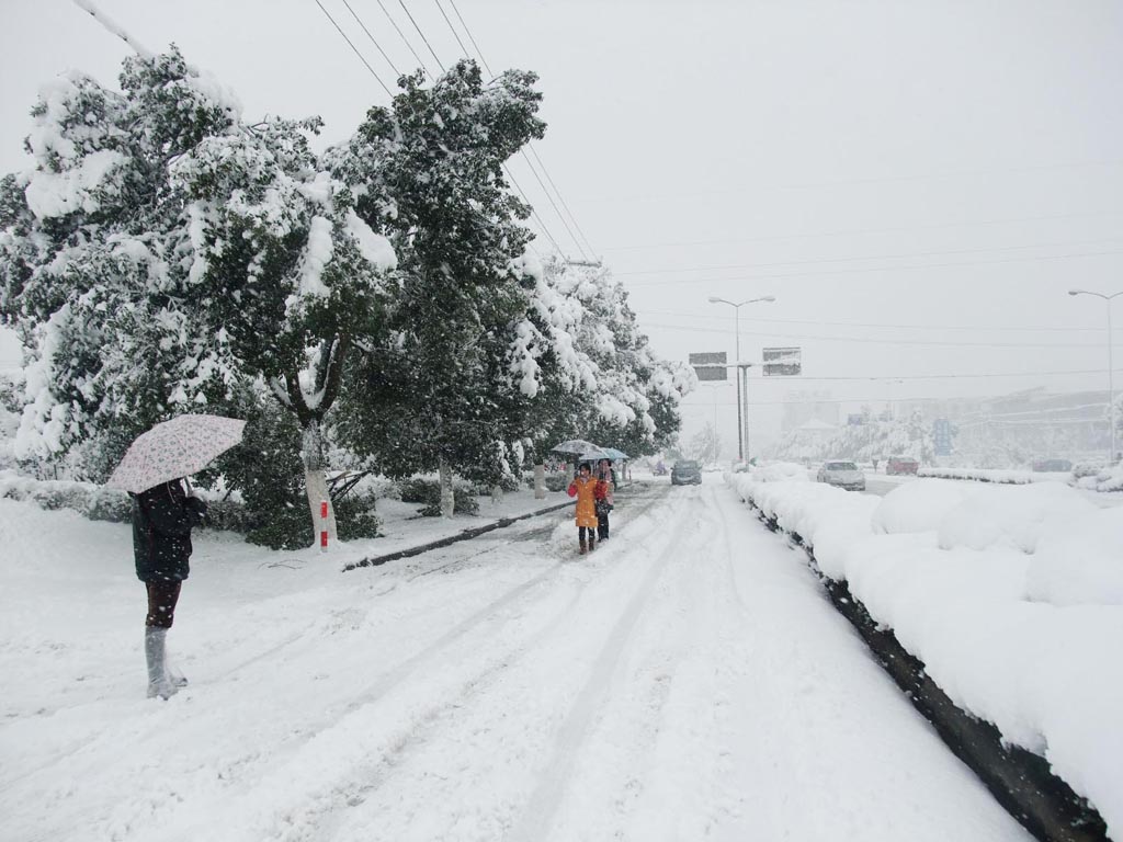 大雪中的道路与行人 摄影 喀纳斯湖