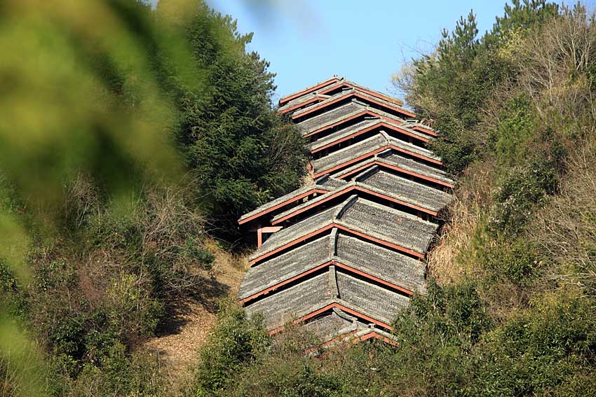 武夷山遇林窑址6 摄影 老过