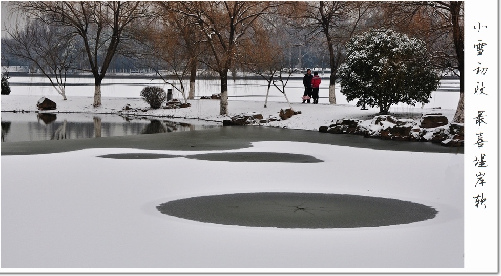 江南雪——4 摄影 云水僧