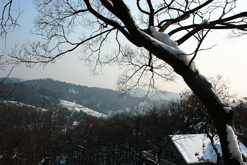 龙井山雪 摄影 liuon