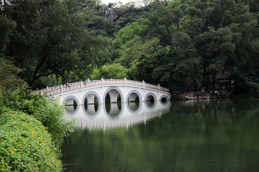 宁静 摄影 大河鱼鹰