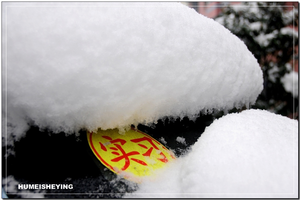 今年这场雪（3） 摄影 虎眉