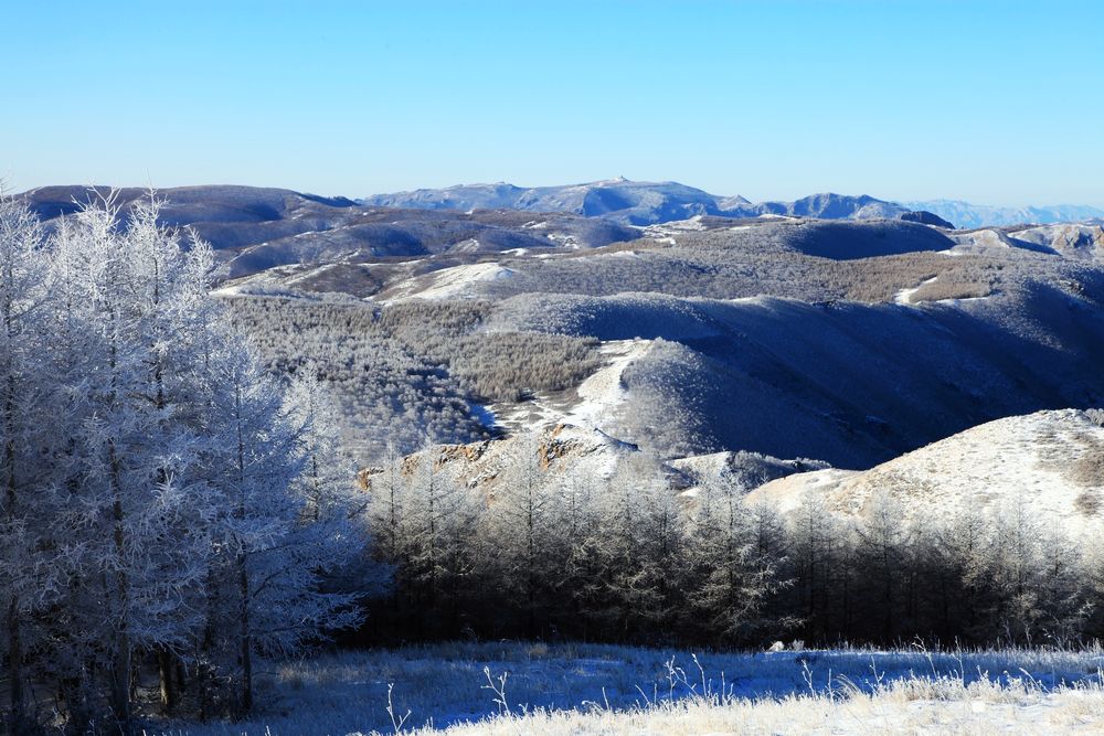 冬雪 摄影 月儿湾湾