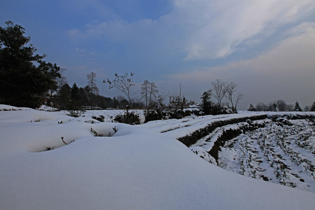 2011-1-20蒙顶山雪景 摄影 小学生2