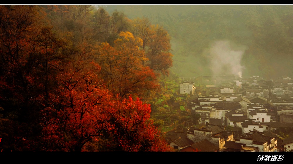 石城红叶 摄影 篌歌