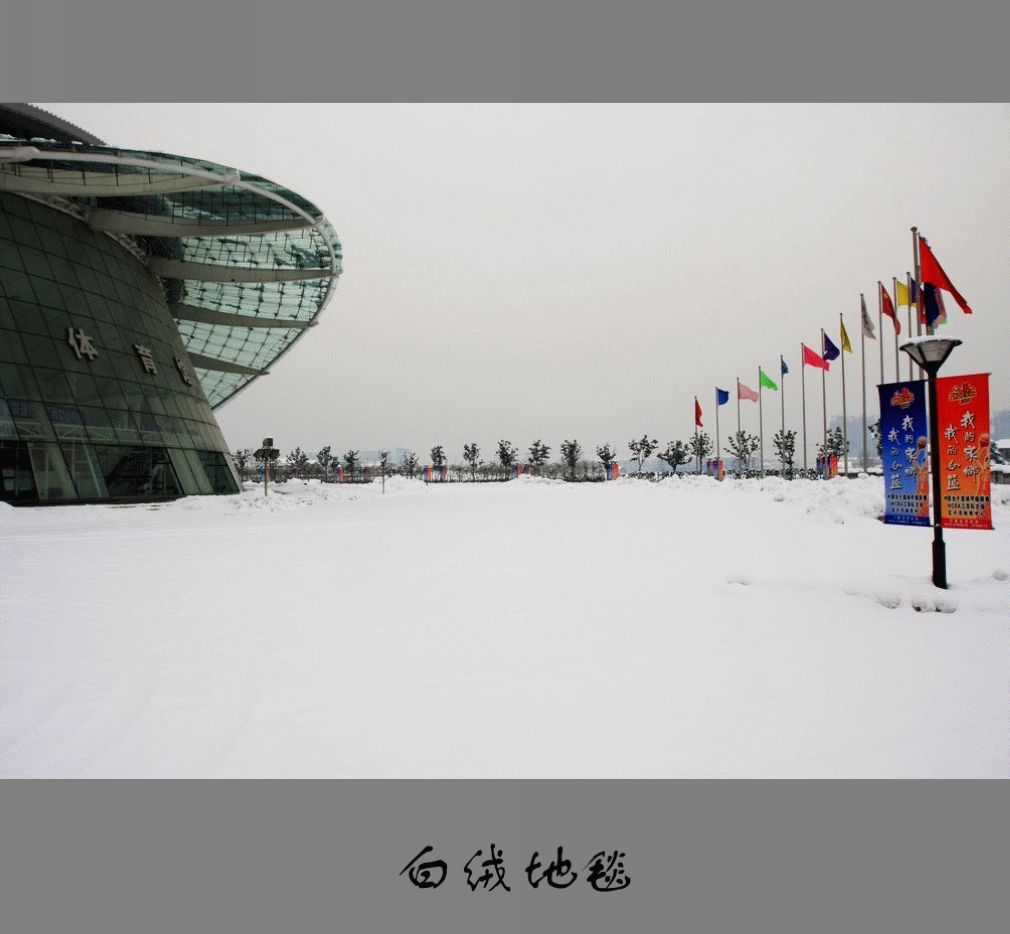 雪景〈2〉2011〈013〉 摄影 季雨飞扬