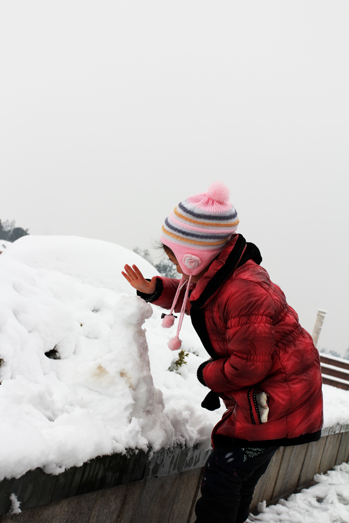 雪之恋·惜雪 摄影 纤云磨墨