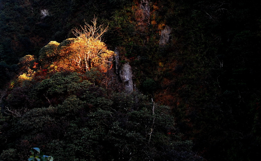 深山夕照 摄影 禾田水