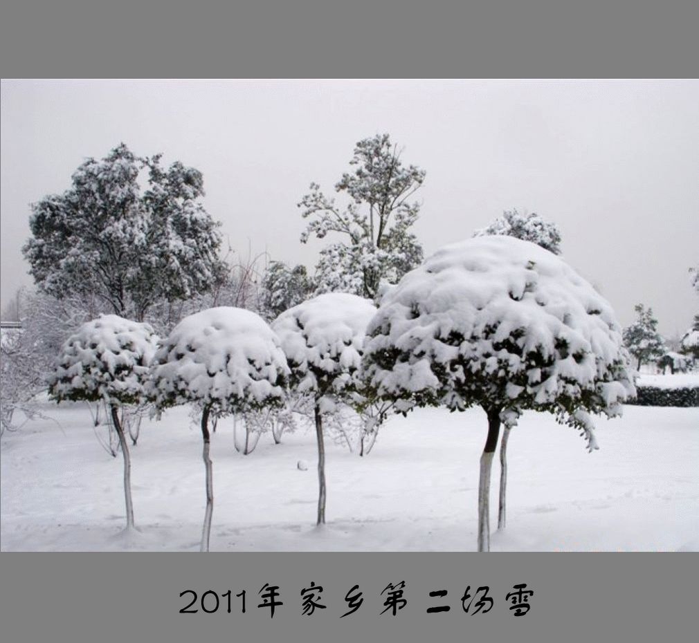 雪景〈3〉兄弟姐妹2011〈014〉 摄影 季雨飞扬