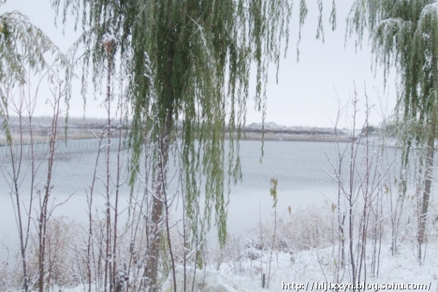 初冬的小河与白雪 摄影 康乐情怀