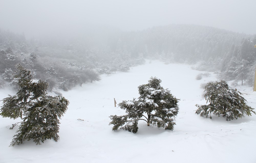 来吧风雪 摄影 载墨