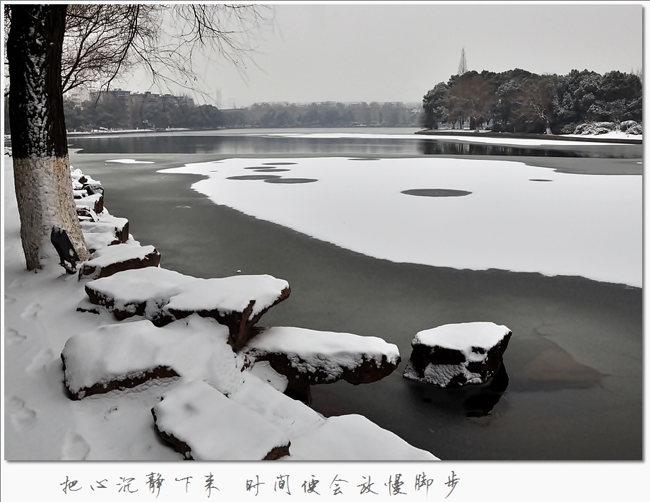 江南雪——5 摄影 云水僧