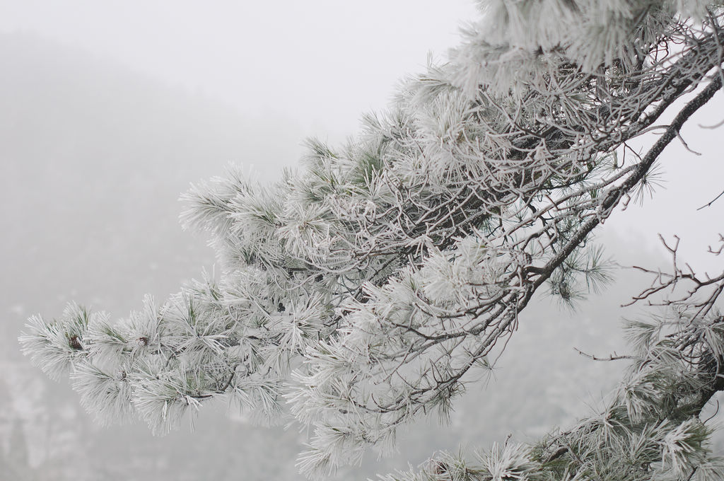 冰雪匡庐---2 摄影 o老叮o