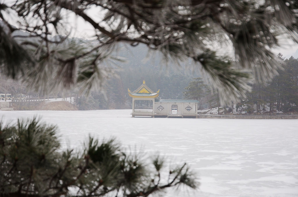 冰雪匡庐 摄影 o老叮o