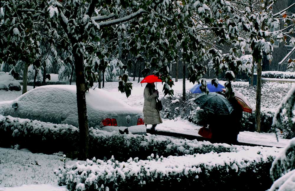 下雪的早晨 摄影 莱州人