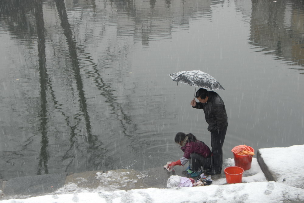 雪中情 摄影 lzzml