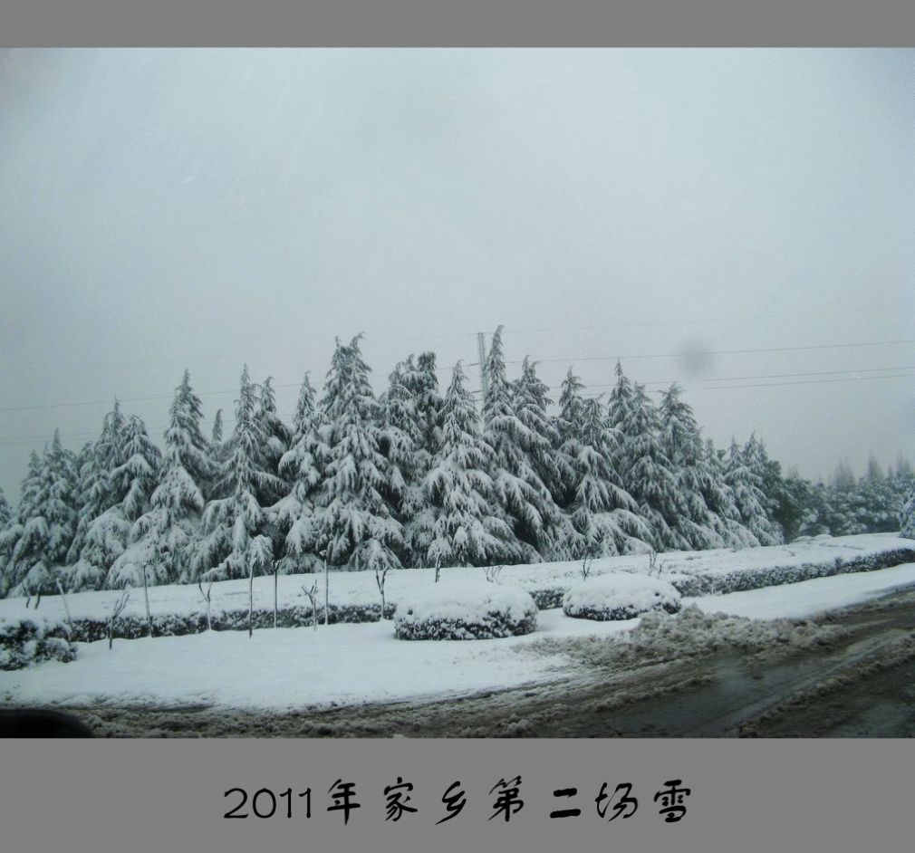 雪景〈4〉林海雪原2011〈015〉 摄影 季雨飞扬