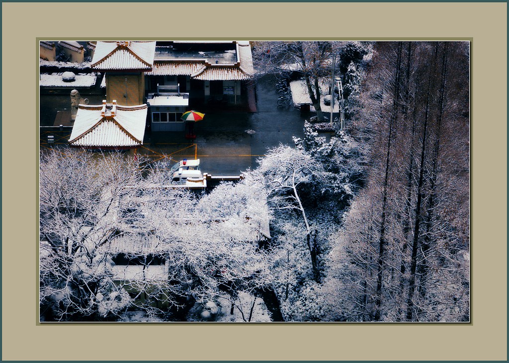 江南雪-1 摄影 愣头青2