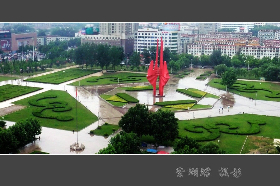 雨中广场 摄影 紫蝴蝶