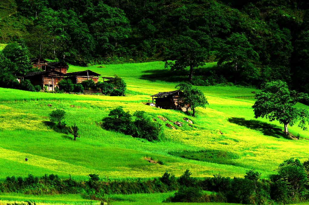 茶马古道旁的小山村 摄影 清风随心