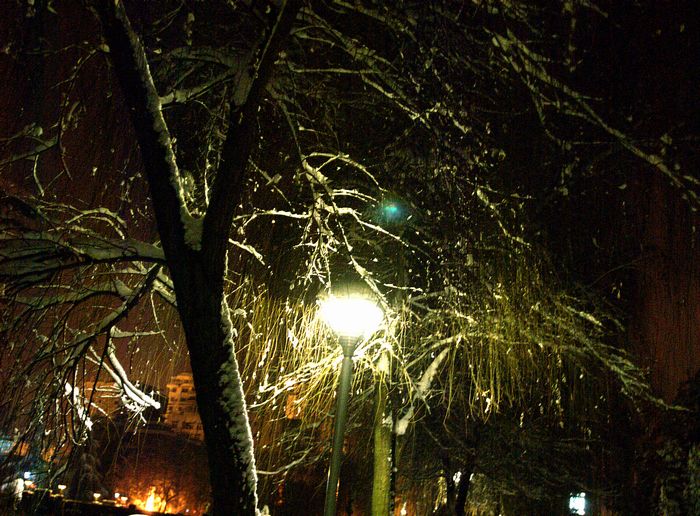 风雪之夜 摄影 朱子百家