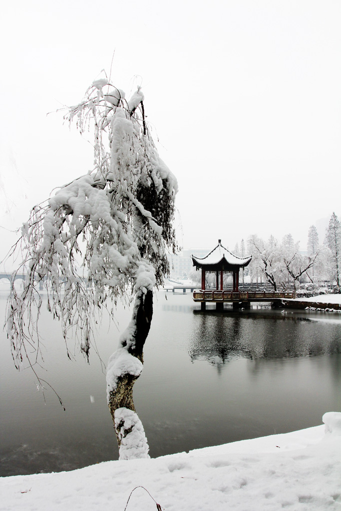 雪之恋·沐雪 摄影 纤云磨墨