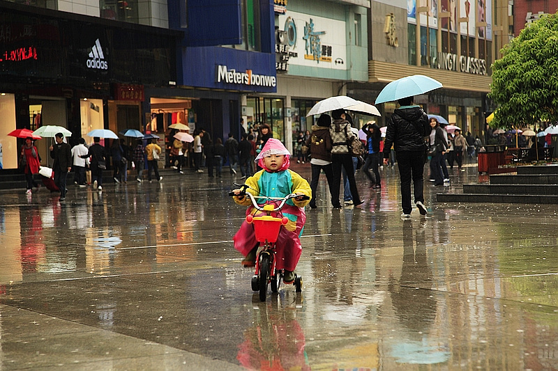 雨中街景 摄影 大河鱼鹰