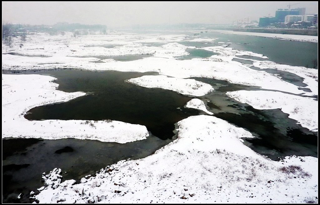 冬雪府河滩 摄影 华绿