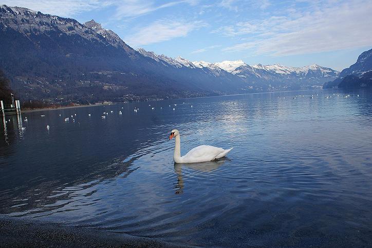 interlaken 摄影 新影达人