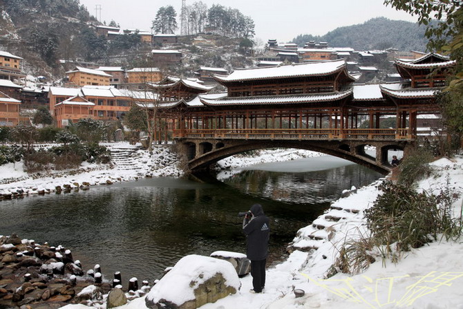 雪原 摄影 柯柯君