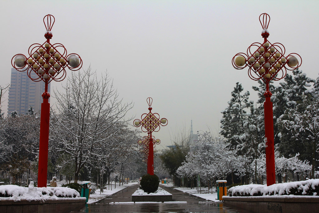 雪之恋·系雪 摄影 纤云磨墨