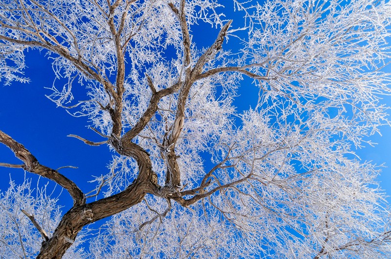 零下三十度的风景 摄影 光影重重