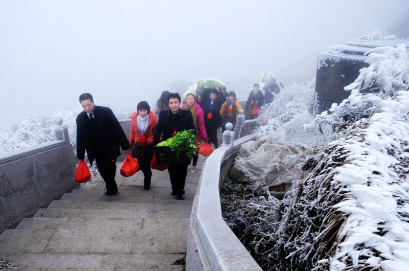 雪中送菜 摄影 时颖